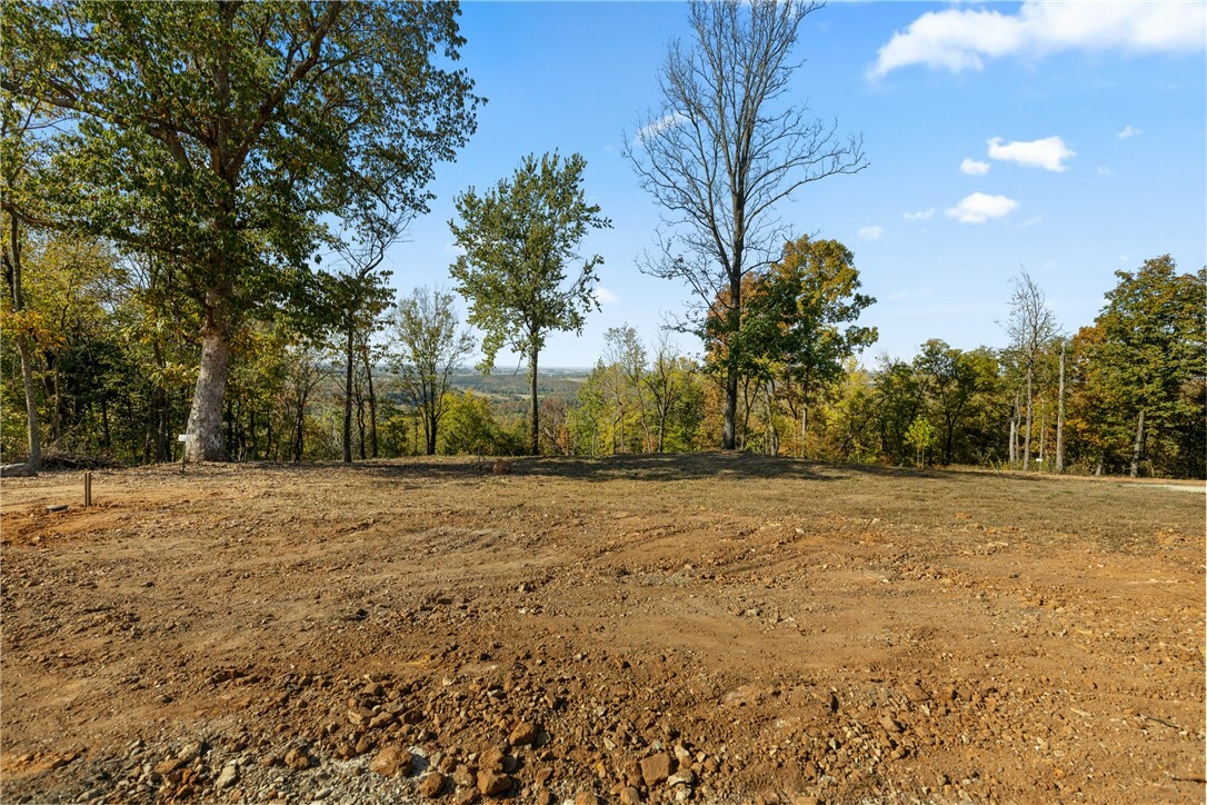 Property Photo:  Lot 103 Peaceful Place  AR 72601 