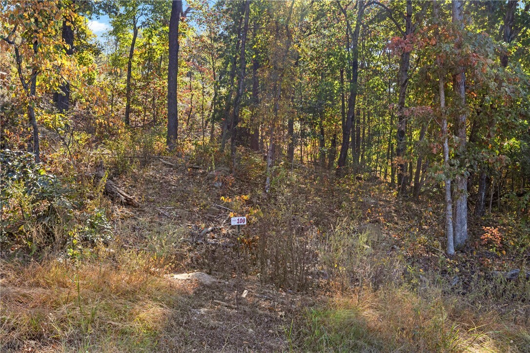 Property Photo:  Lot 100 Restore Ridge  AR 72601 