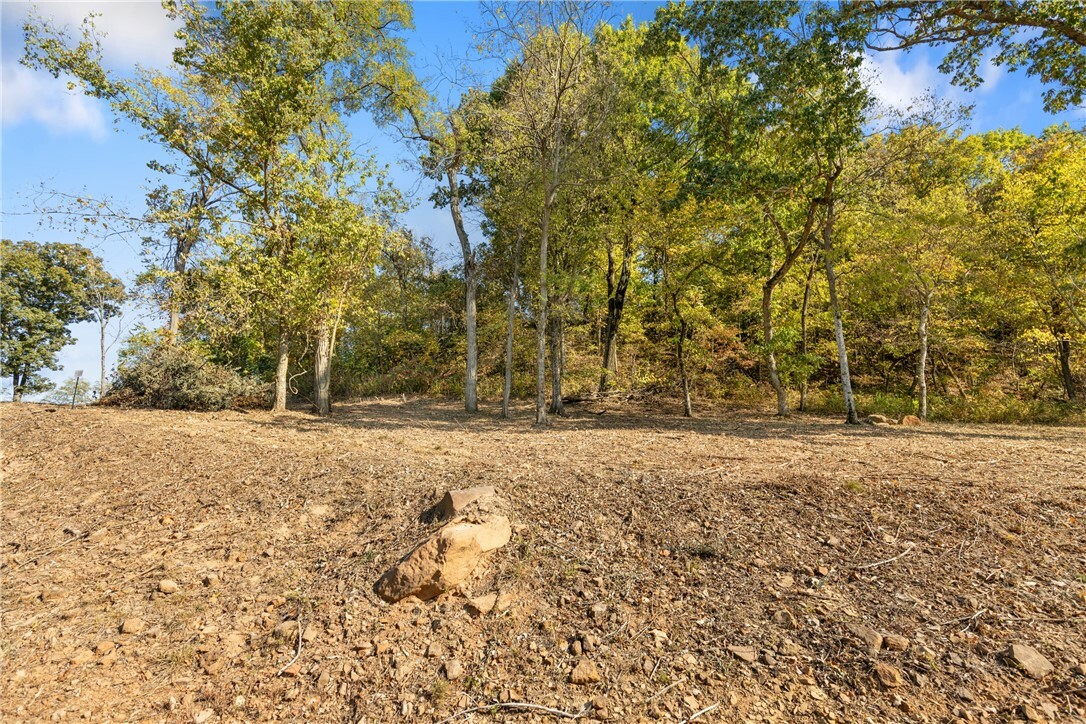 Property Photo:  Lot 106 Peaceful Place  AR 72601 