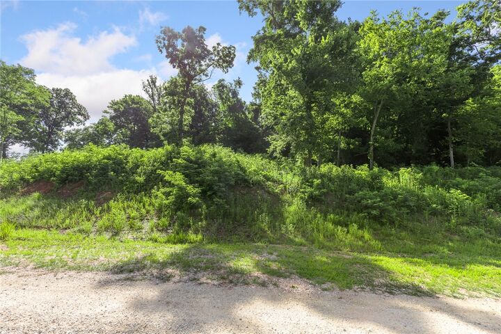 Property Photo: Lot 106 Peaceful Place AR 72601