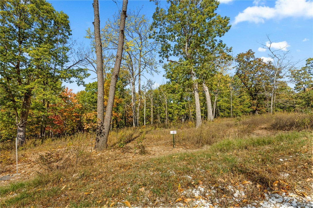 Property Photo:  Lot 87 Restore Ridge  AR 72601 