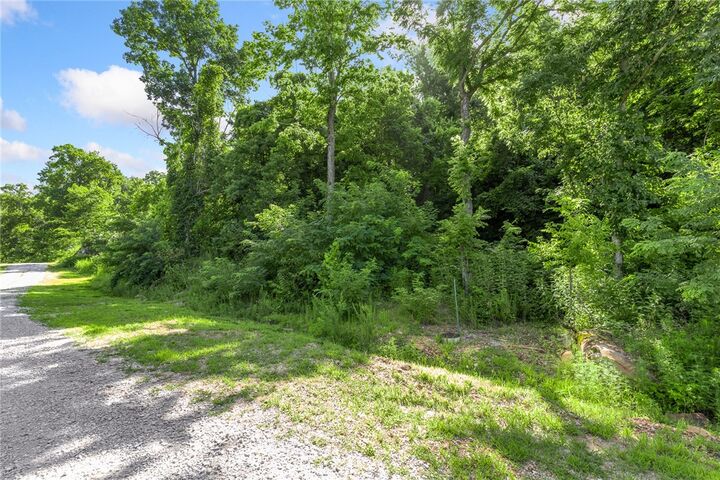 Property Photo: Lot 112 Peaceful Place AR 72601