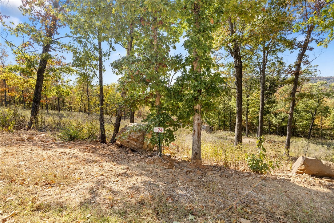 Property Photo:  Lot 74 Restore Ridge  AR 72601 