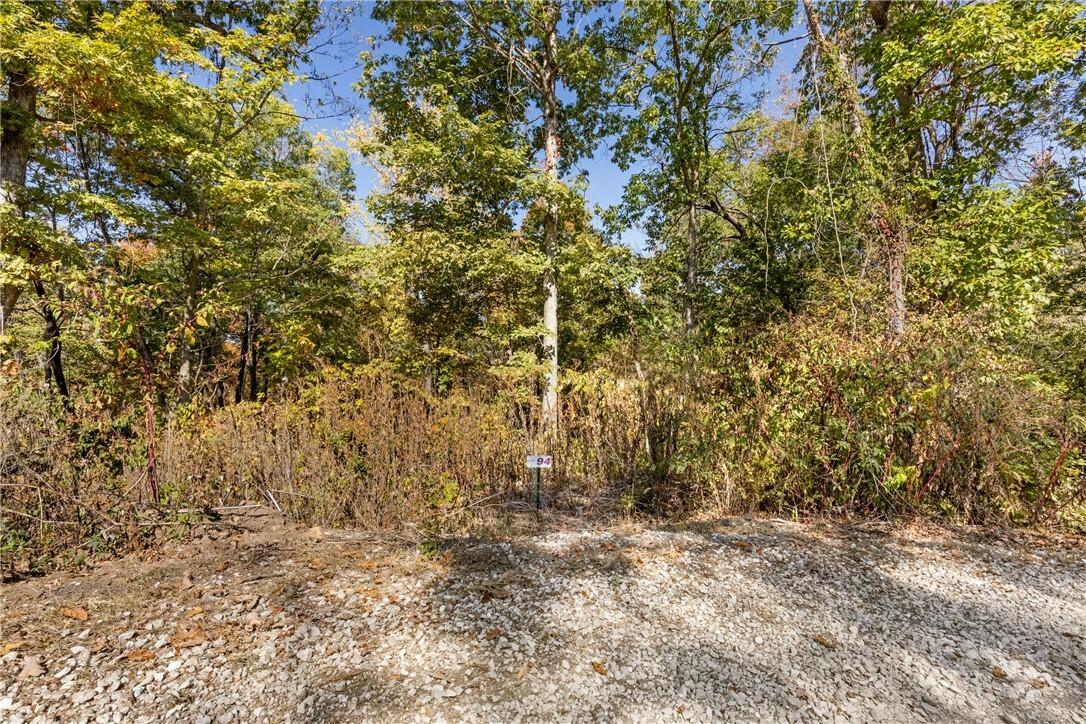 Property Photo:  Lot 94 Restore Circle  AR 72601 