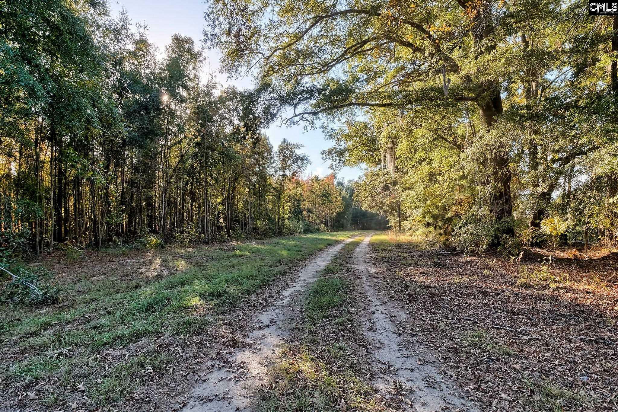 Property Photo:  00 Broxton Bridge  SC 29081 