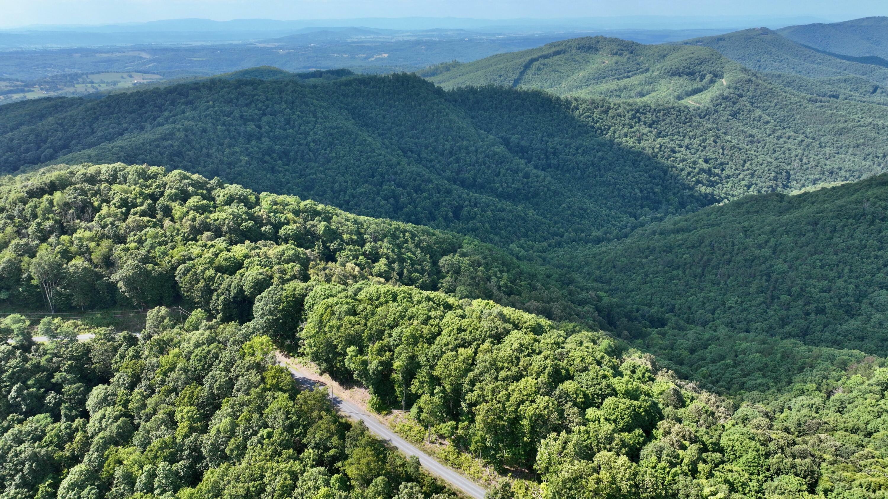 Property Photo:  Overlook Lot 63  WV 24925 