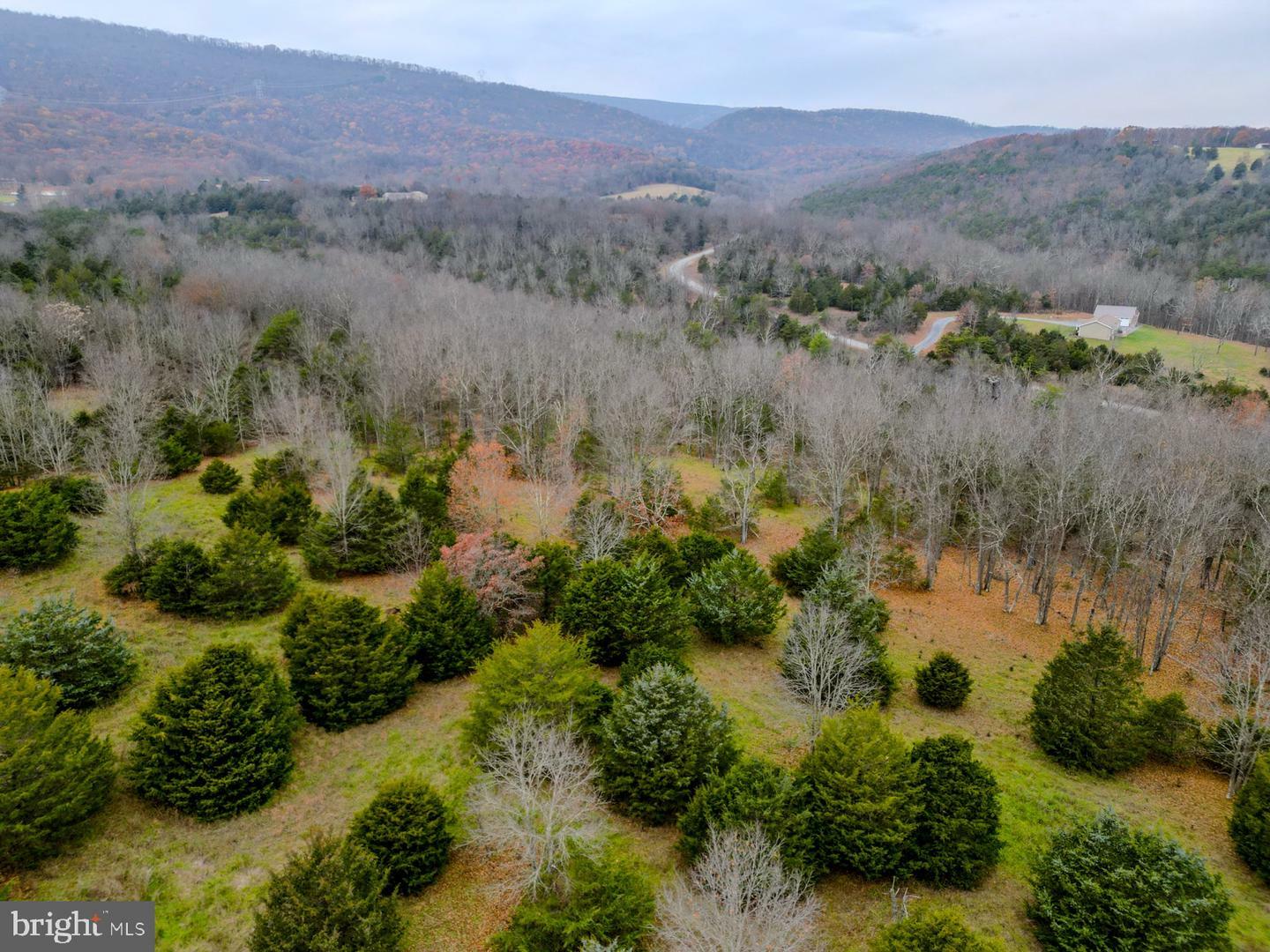 Property Photo:  Lot 26 Bantry Way  WV 26833 