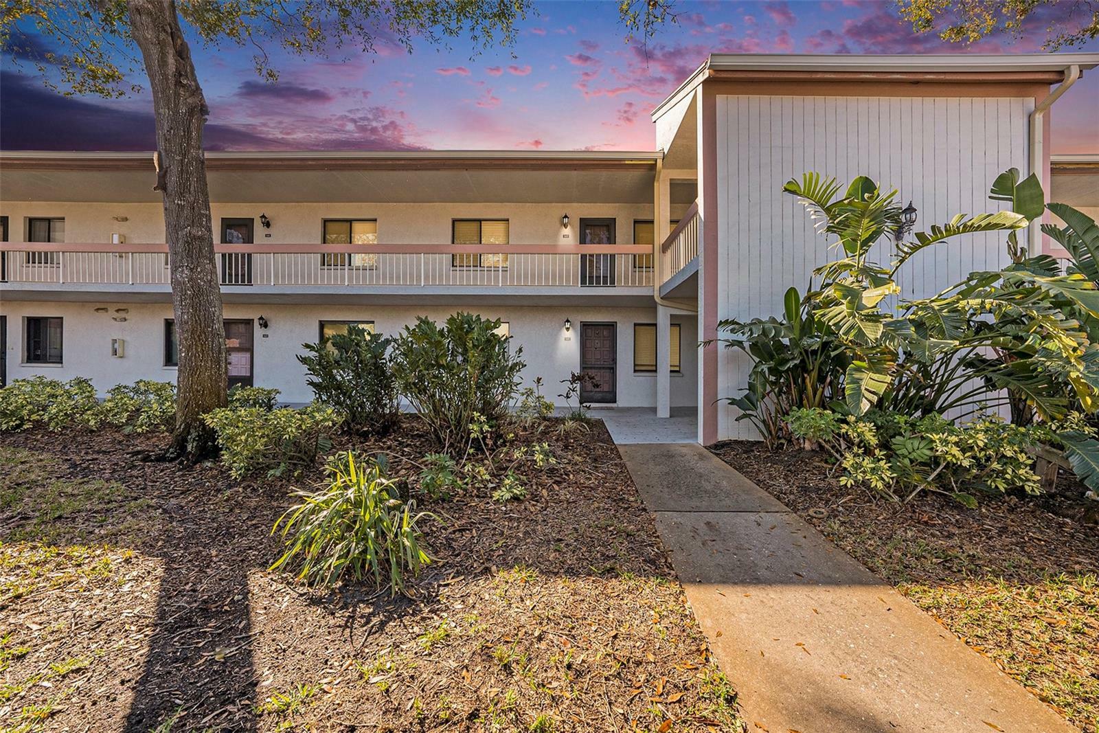141 Lakeview Way  Oldsmar FL 34677 photo