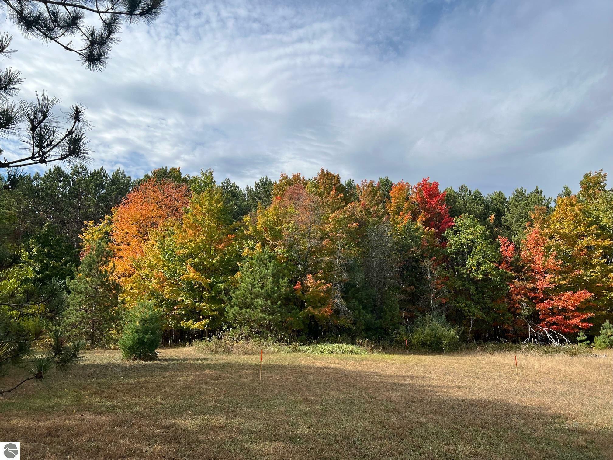 Property Photo:  134 S West Silver Lake Road  MI 49685 