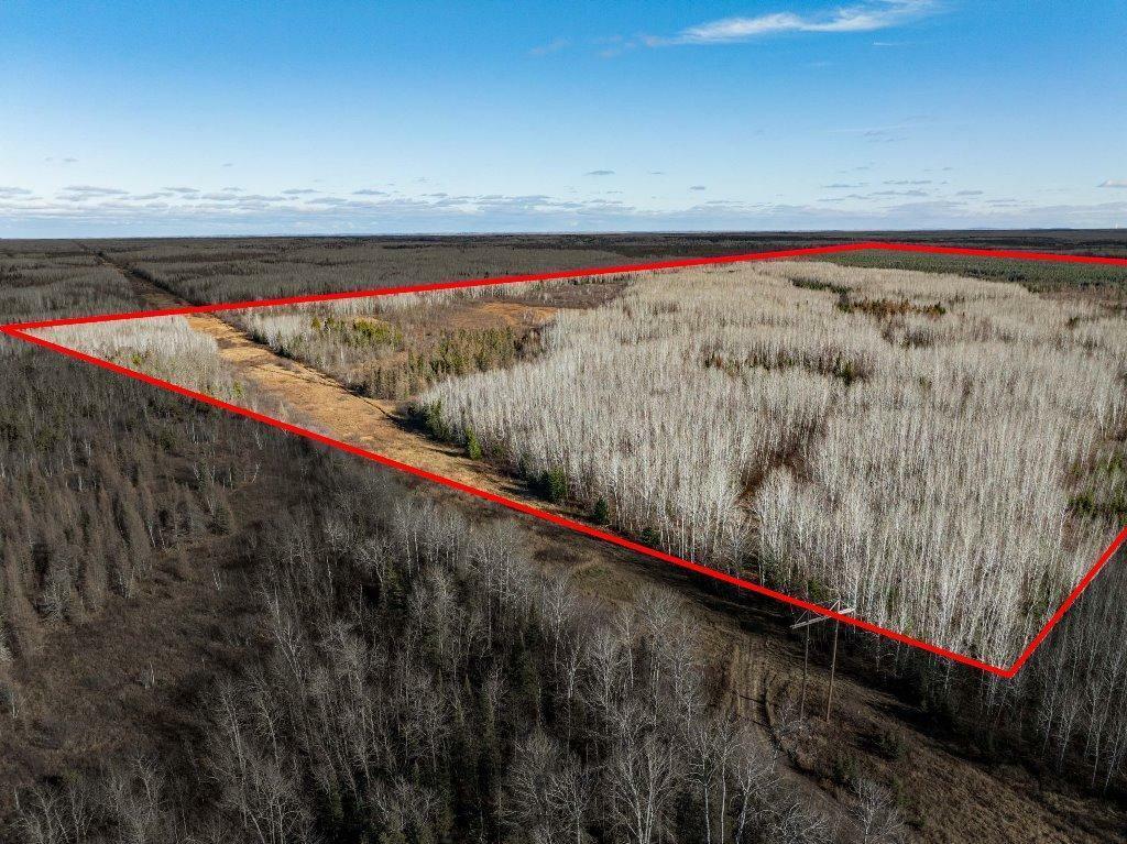 Property Photo: Tbd County Rd 60 MN 55744