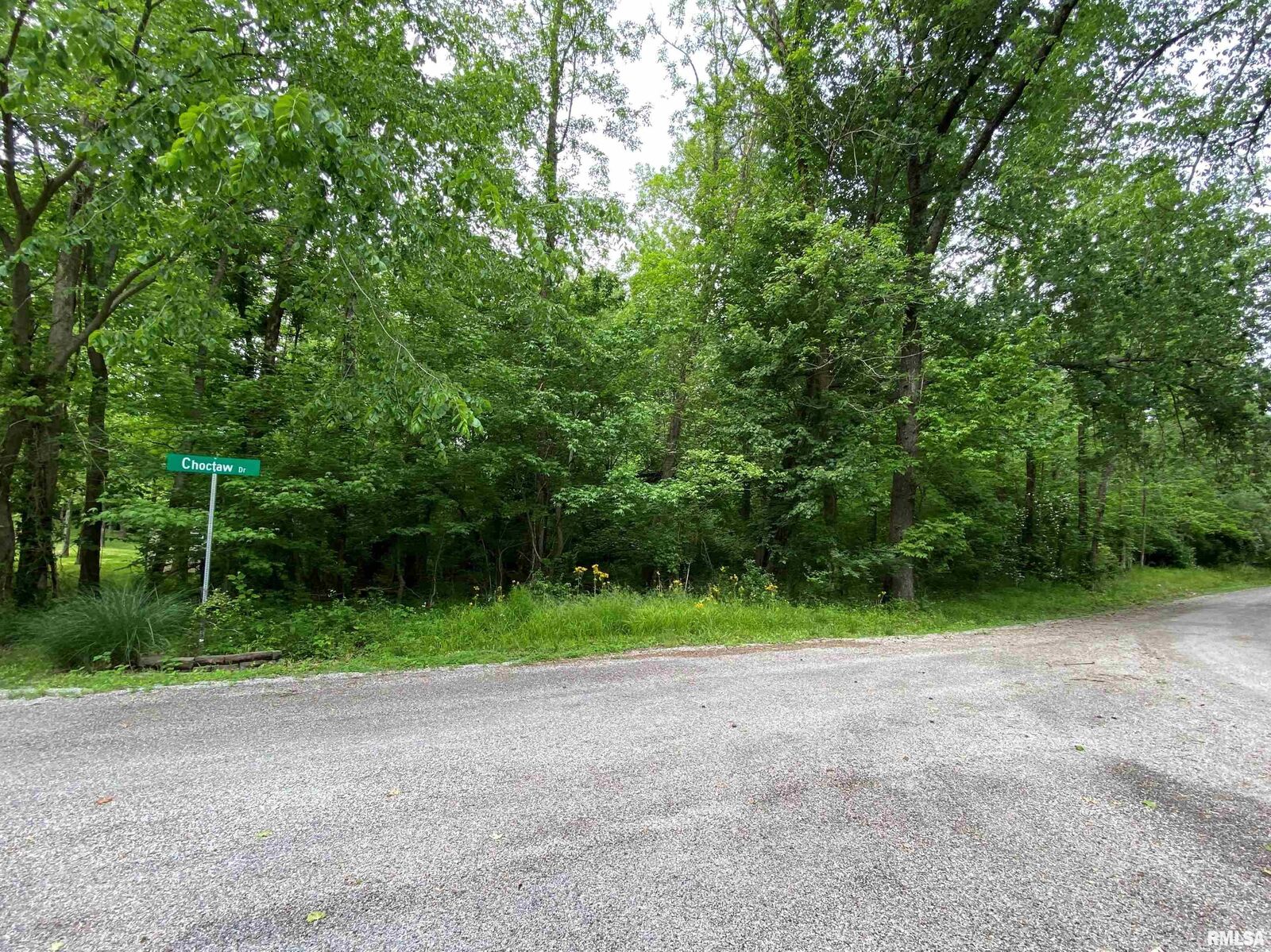 Property Photo:  Lot 4 Choctaw Drive  IL 62901 