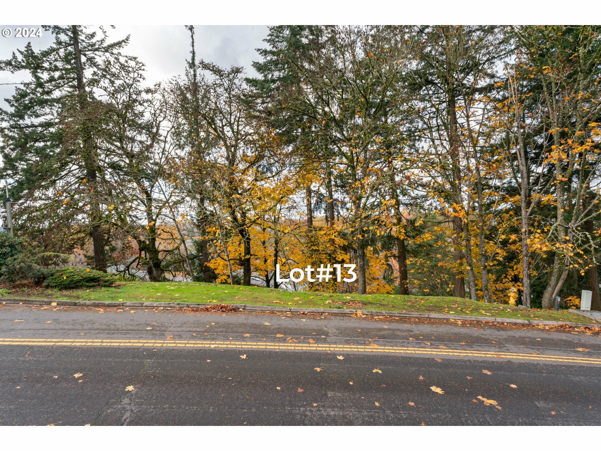 Stonecrest Dr Lot #13  Eugene OR 97401 photo