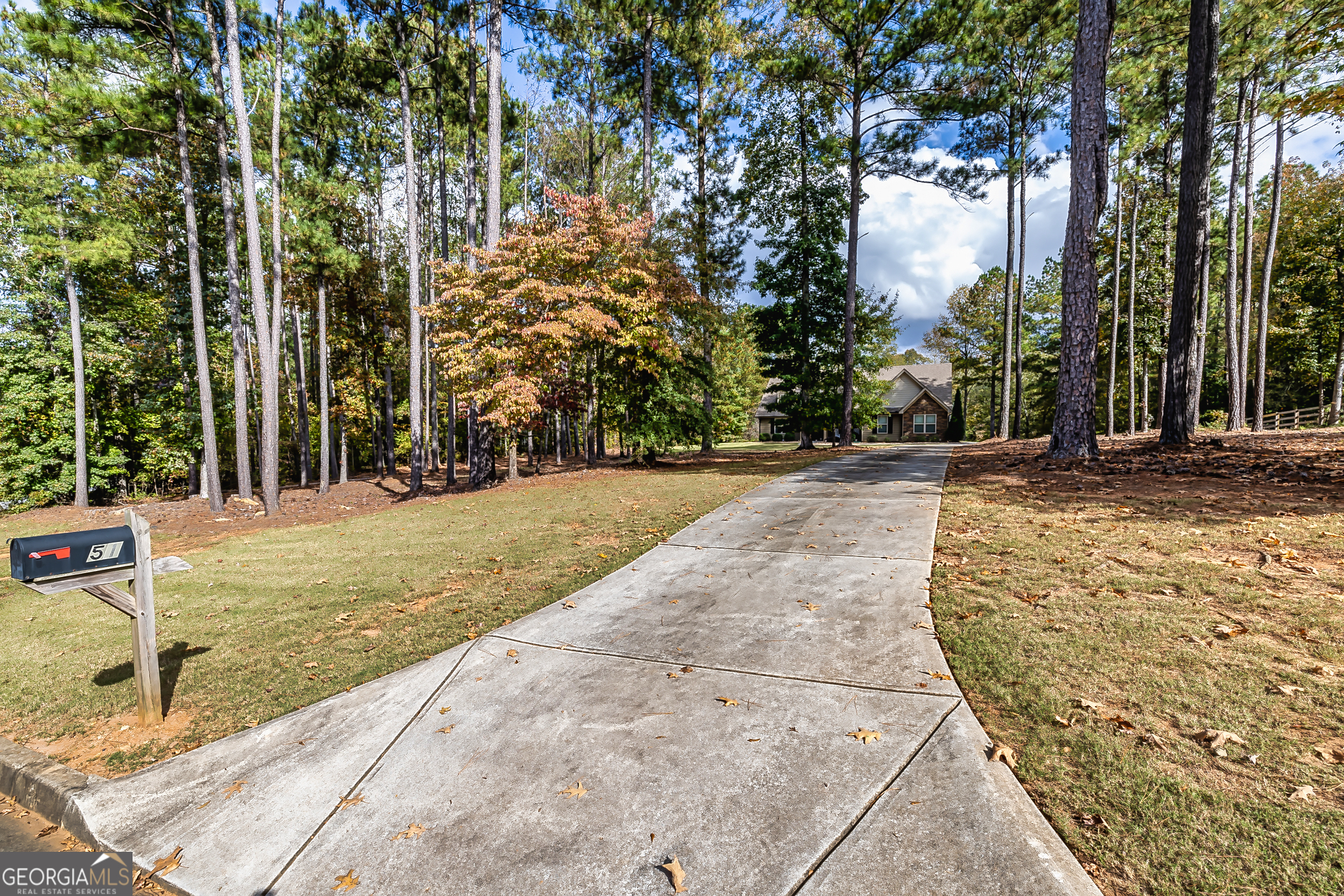 Property Photo:  51 Backwater Cove Court  GA 30263 