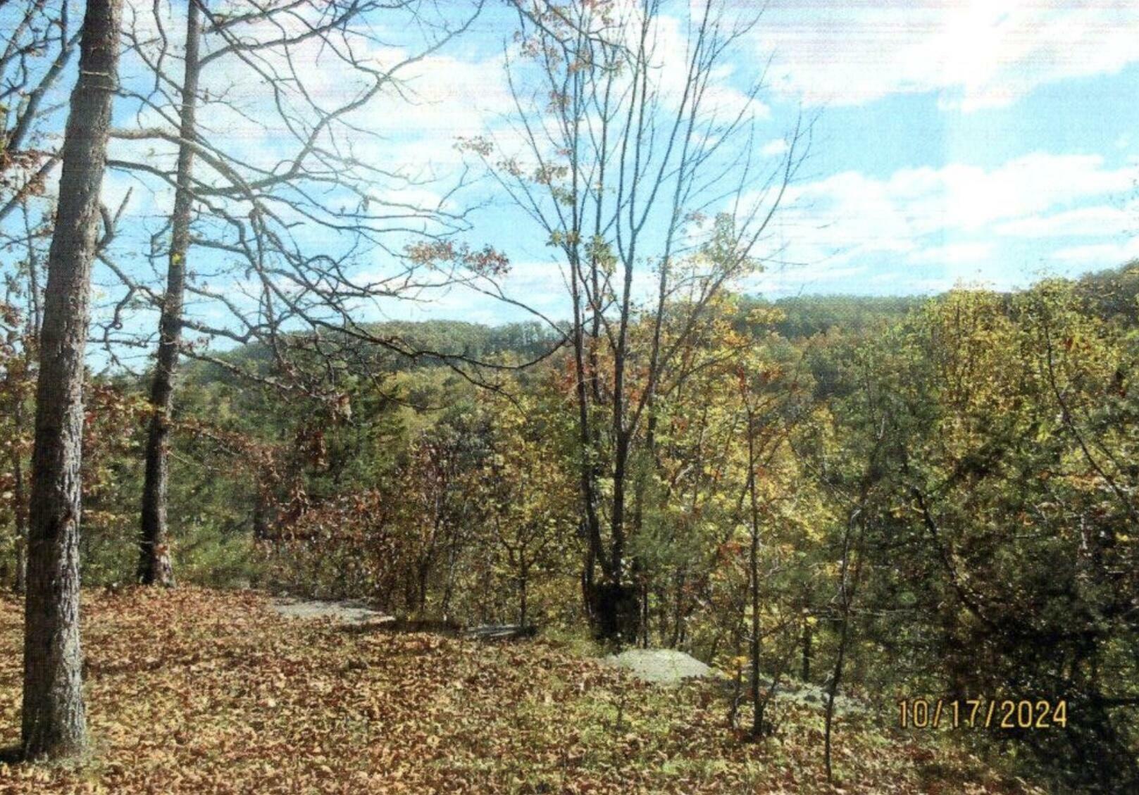 Property Photo:  0 Halls Branch Road  KY 40380 