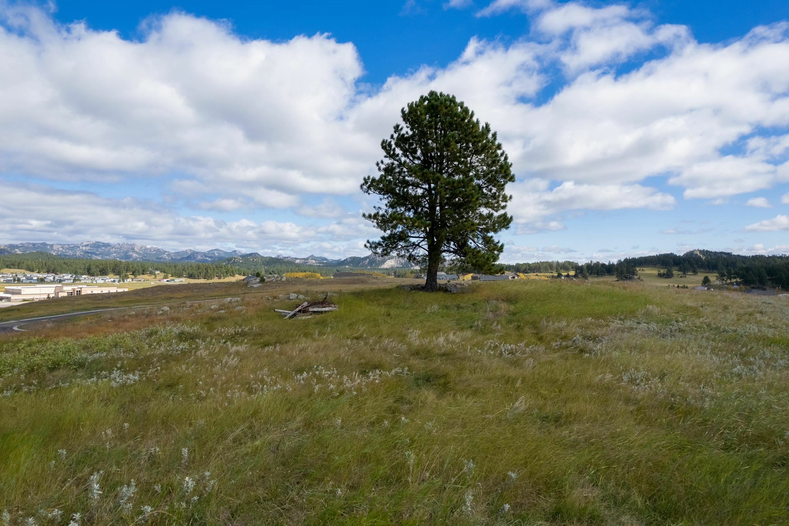 Property Photo:  Lot 25 Block 1 Park Avenue  SD 57730 