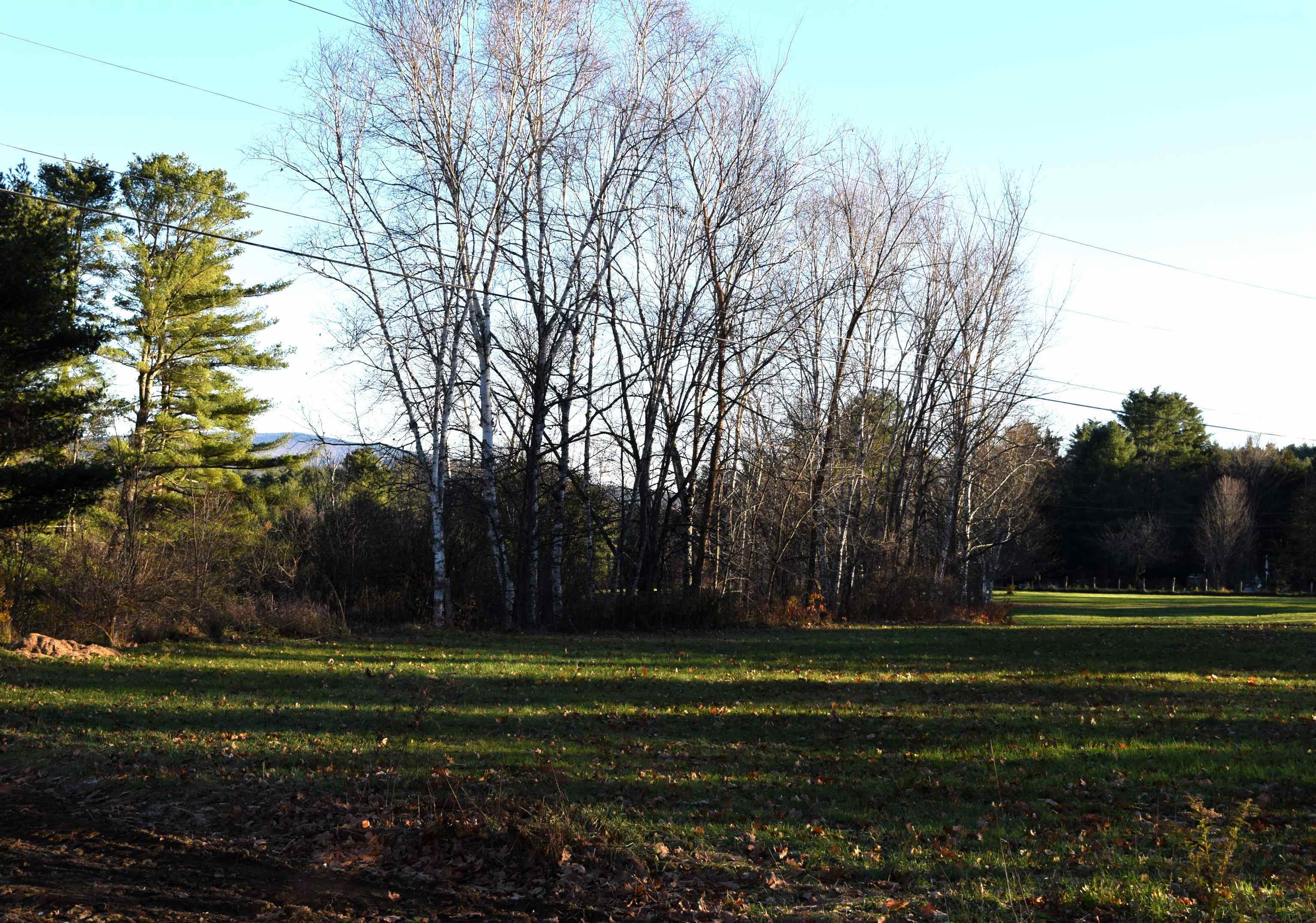 Property Photo:  307 Peach Brook Road  VT 05051 