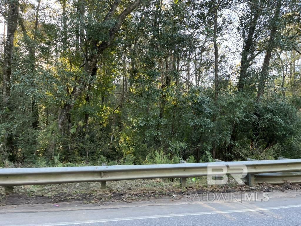 Property Photo:  0 County Road 55  AL 36551 