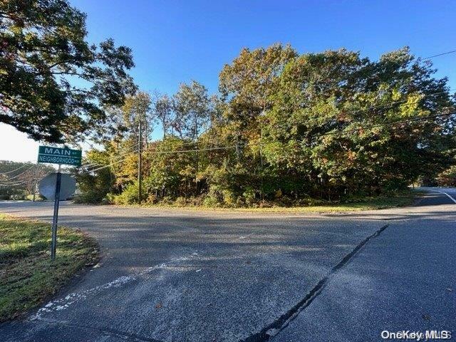 Property Photo: Vl Neighborhood Road NY 11950
