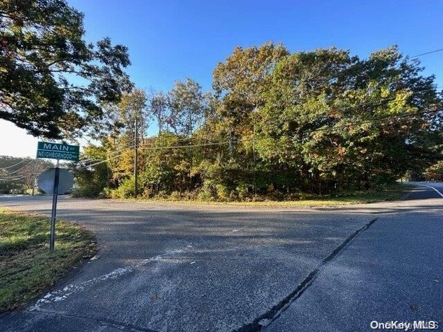 Property Photo: Vl Neighborhood Road NY 11950