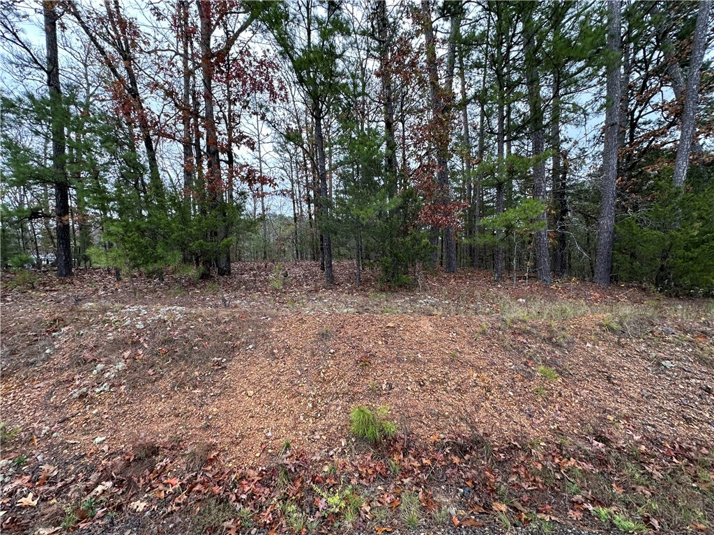 Property Photo:  Tbd Horseshoe Bend Road  AR 72770 