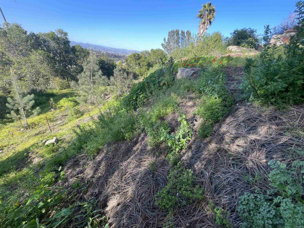 Property Photo:  0 El Granito Avenue  CA 91941 