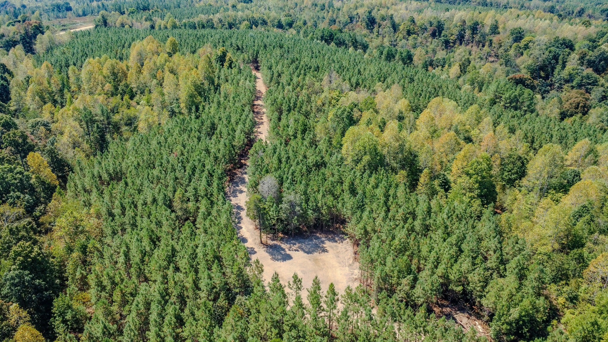 Property Photo: 0 Hurricane Road NE TN 37175