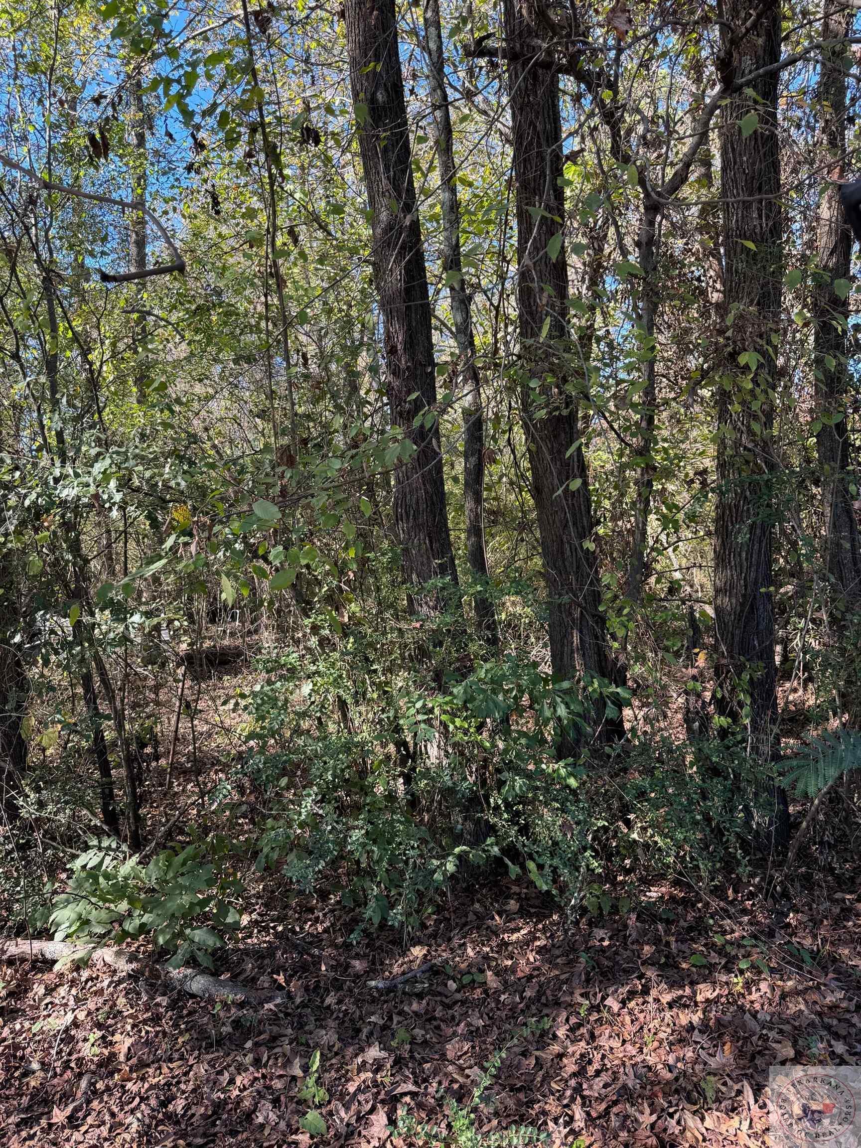 Property Photo:  0 Woodberry  TX 75501 