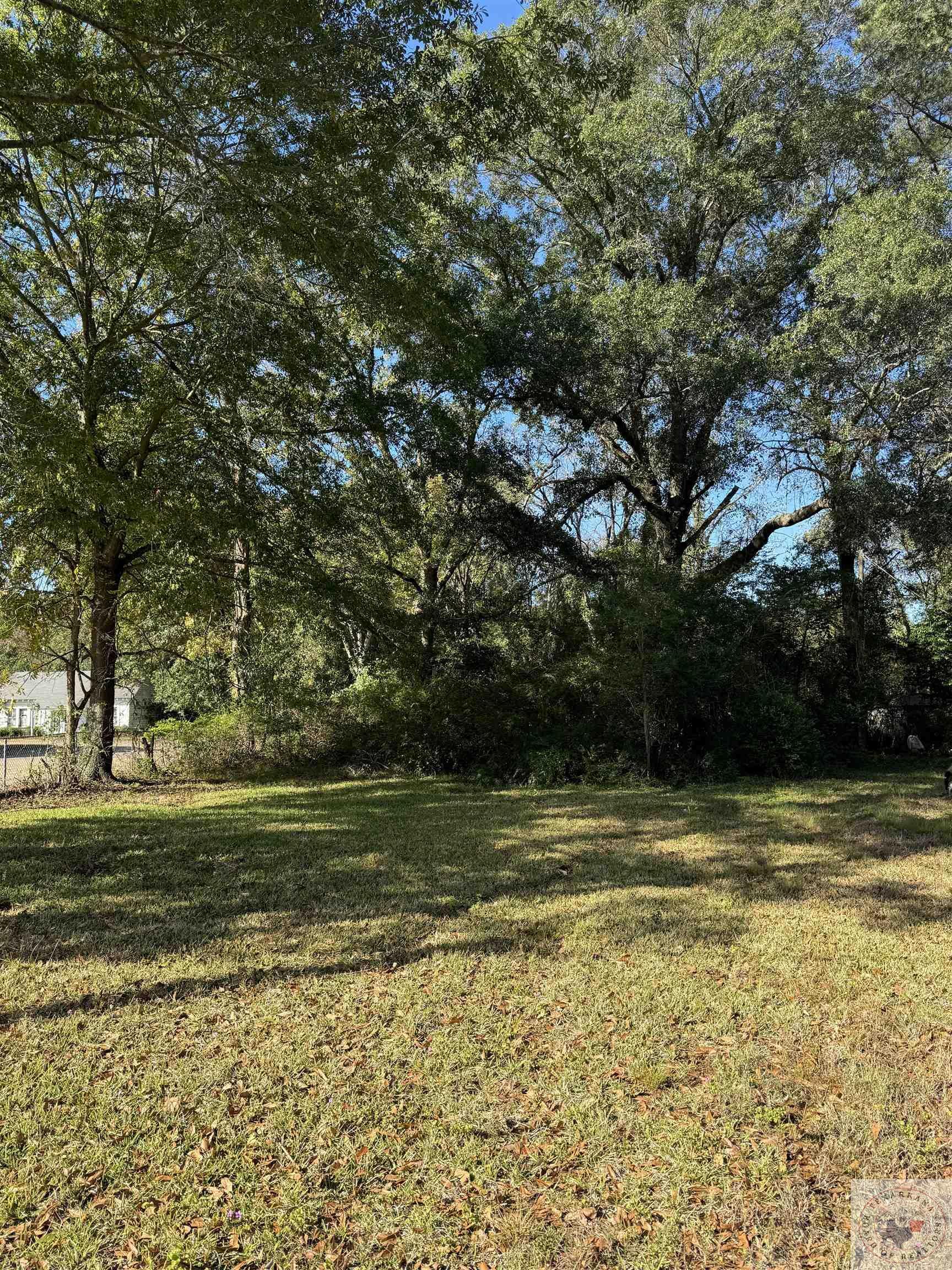 Property Photo: 0 Tbd1 Capp TX 75501