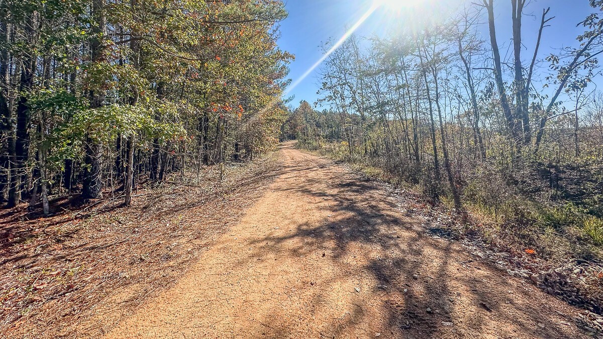 Property Photo: 0 Timber Twist Lane TN 37175