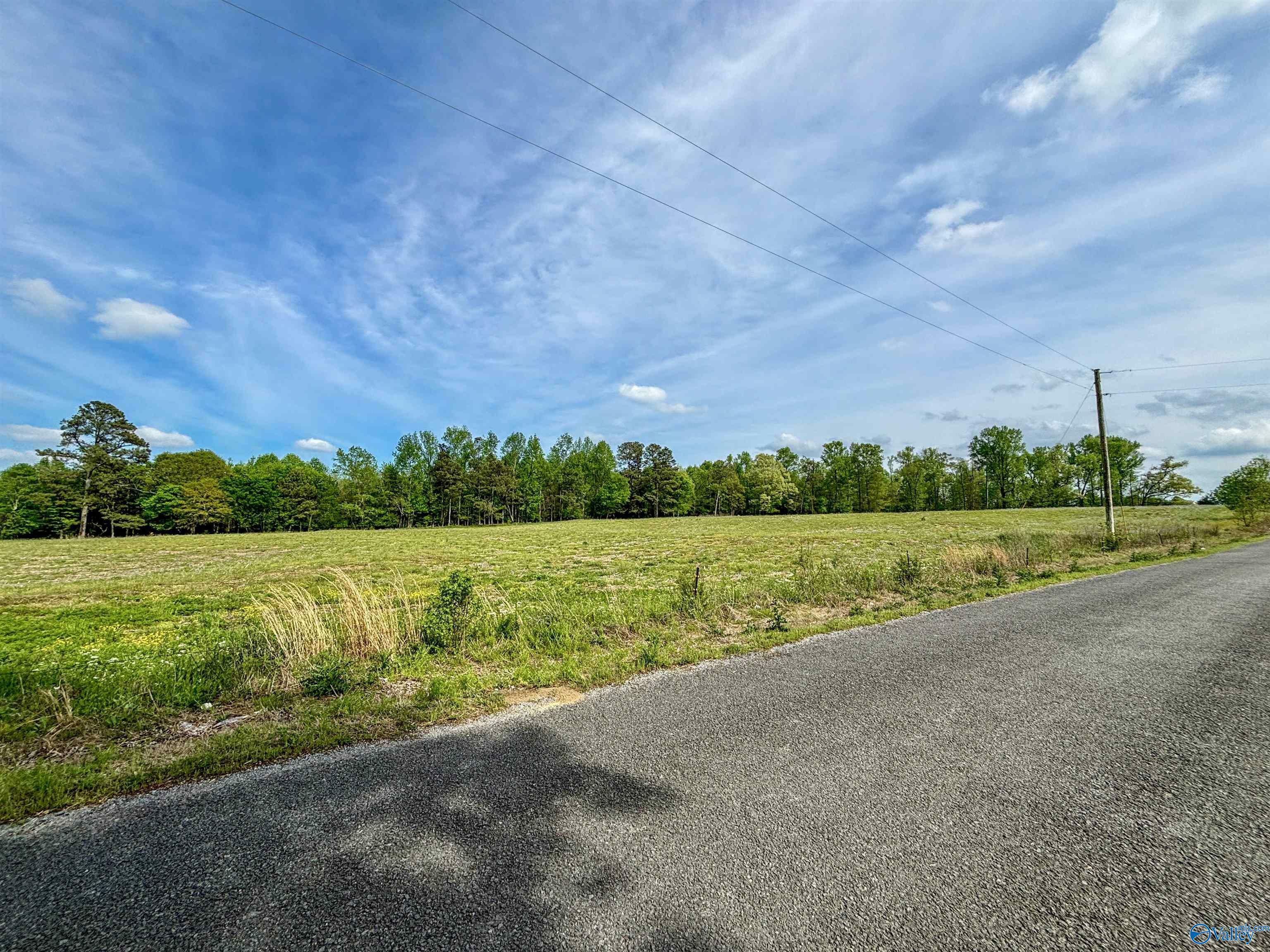 Property Photo:  12 Acres County Road 318  AL 35963 