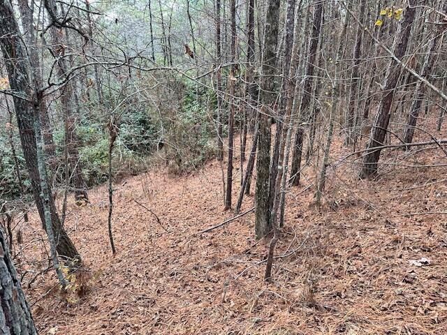 Property Photo:  Lot 6 Skyline Drive  TN 37391 