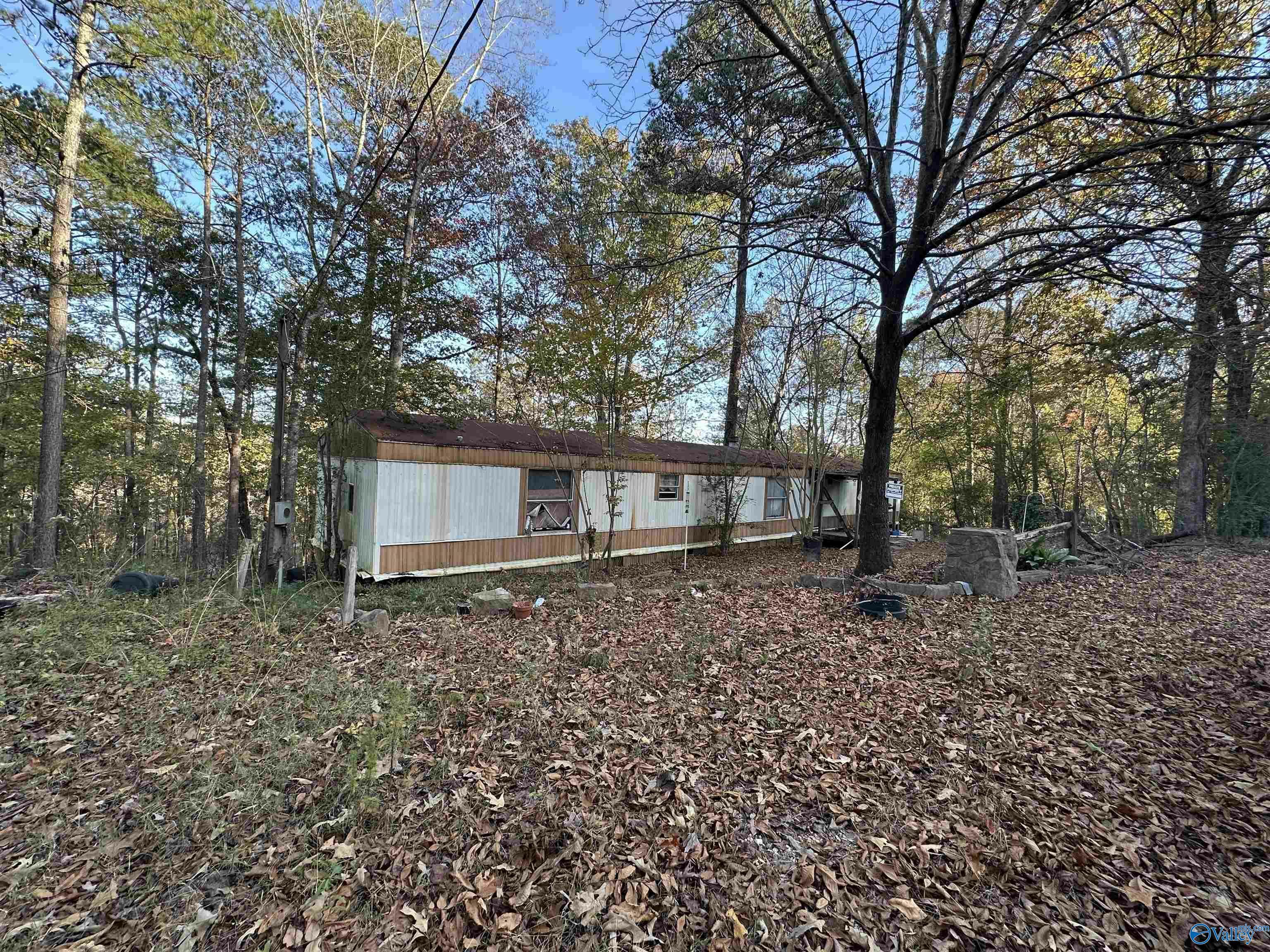 Property Photo:  43 County Road 204  AL 35541 