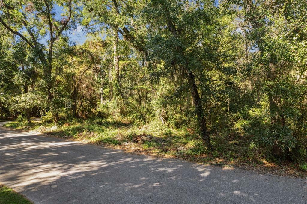 Property Photo:  0 Quattlefield Lane  FL 32034 