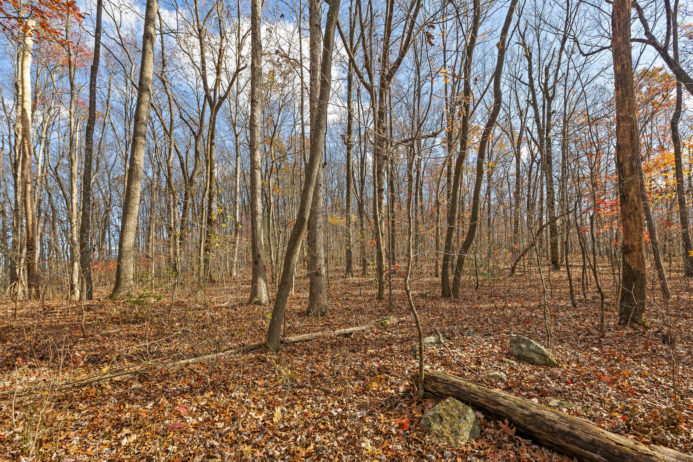 Property Photo:  0 Shivas Crest  GA 30738 