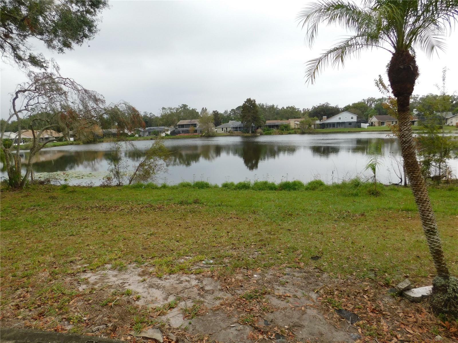 Property Photo:  3346 Foxridge Circle  FL 33618 