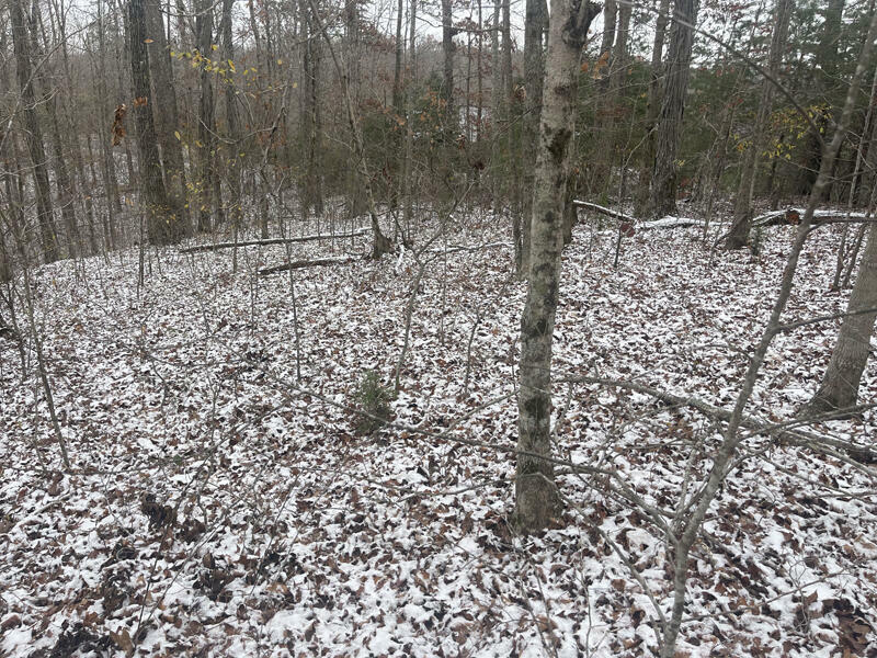 Property Photo:  Lot 68 Sandstone Point  KY 42633 