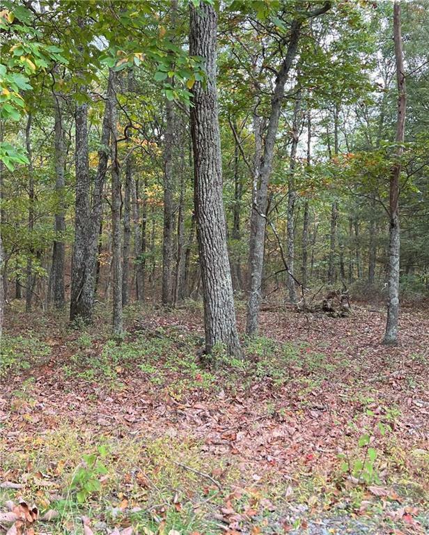 Property Photo:  287 Forest Drive  PA 18325 