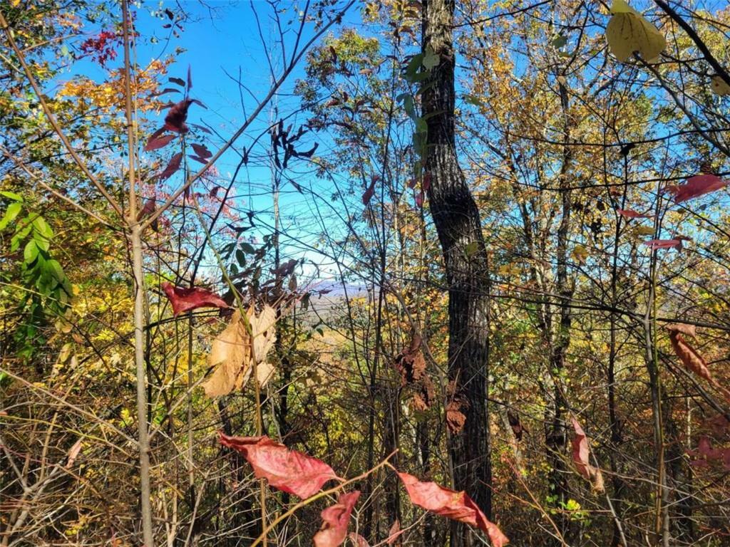 Property Photo:  6 Ac Old Burnt Mountain  GA 30540 