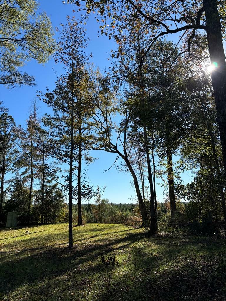 Property Photo:  3758 Ga Hwy 0026 W  GA 31803 