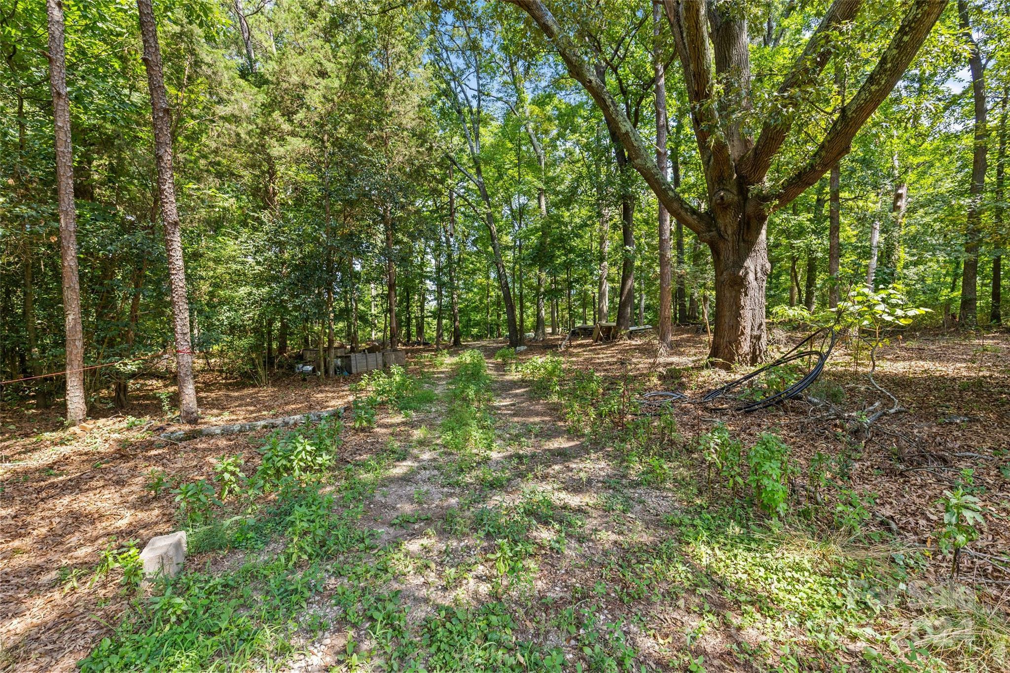 Property Photo: 5621 Mount Olive Church Road NC 28278