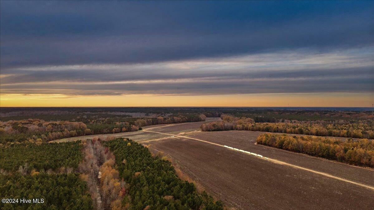 Property Photo: 0 Hwy 561 NC 27839
