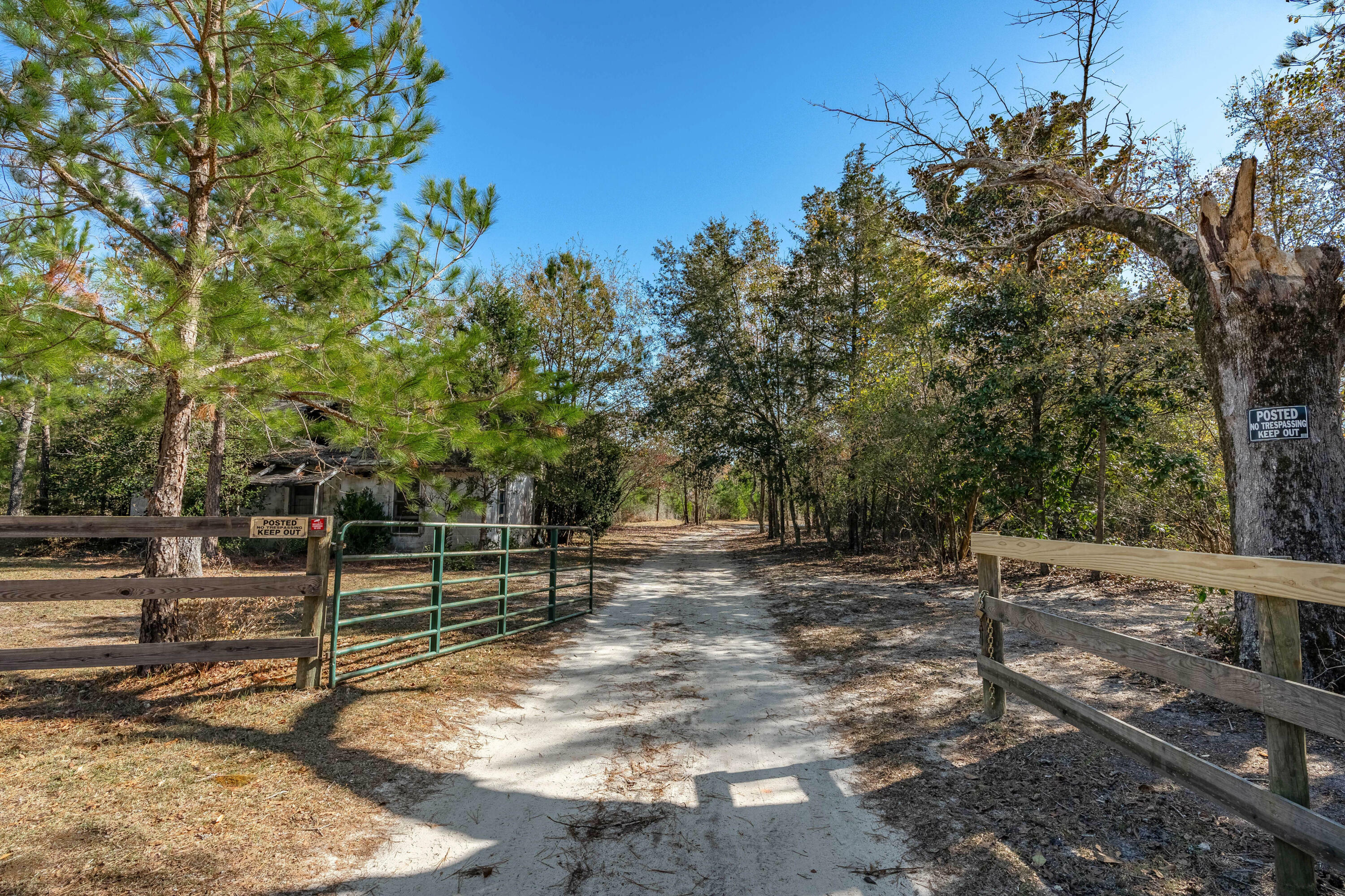 Property Photo:  491 Shealy Pond Road  SC 29105 