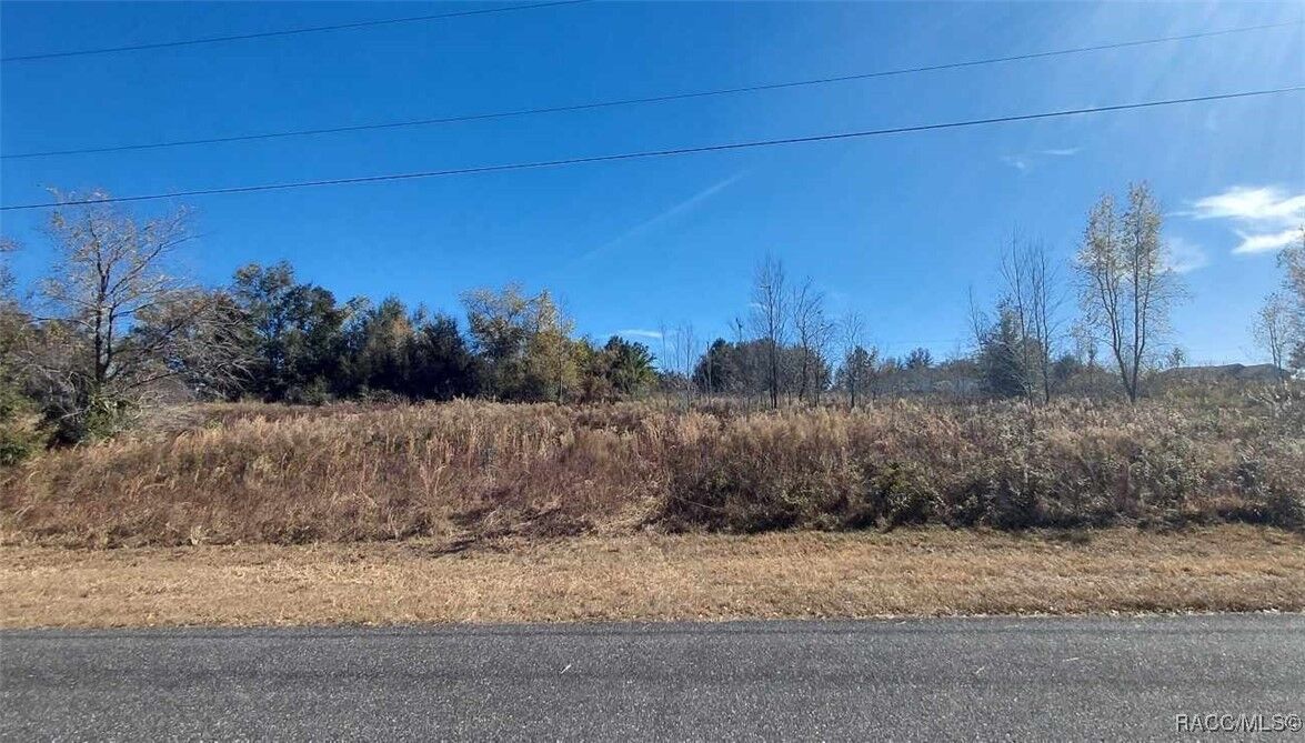 Property Photo:  34 W Gulfstream Place  FL 34434 