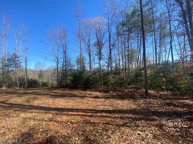 Lot #3 Bayberry Lane  Purlear NC 28665 photo