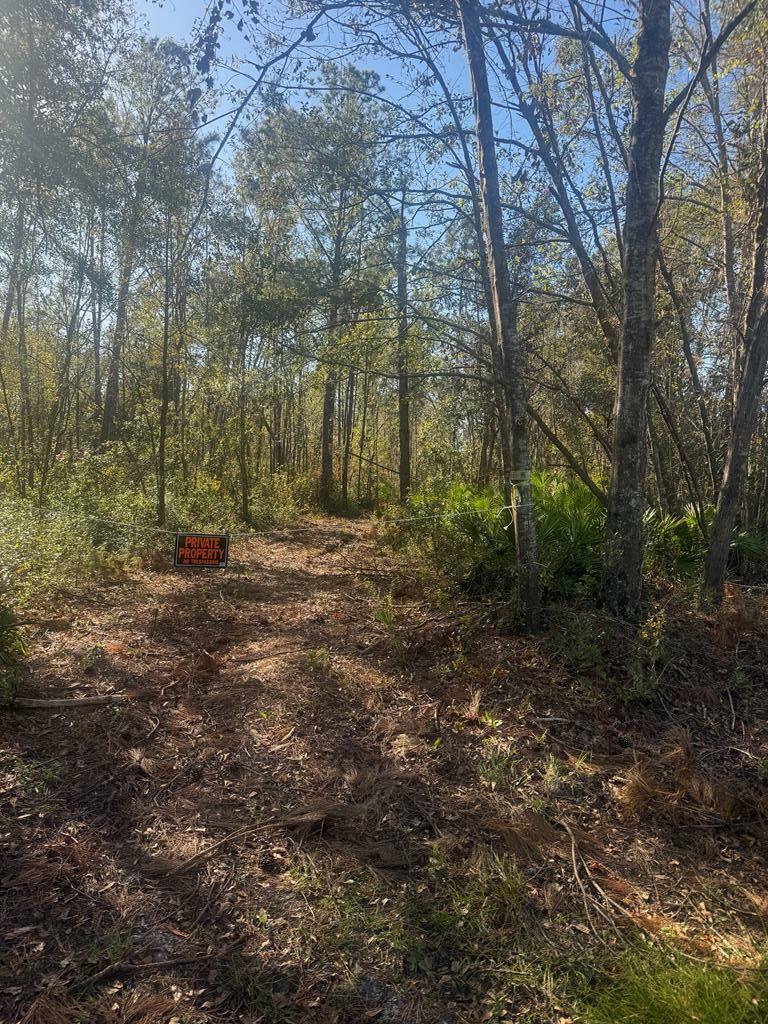 Property Photo:  0 White Water Rd.  GA 31601 