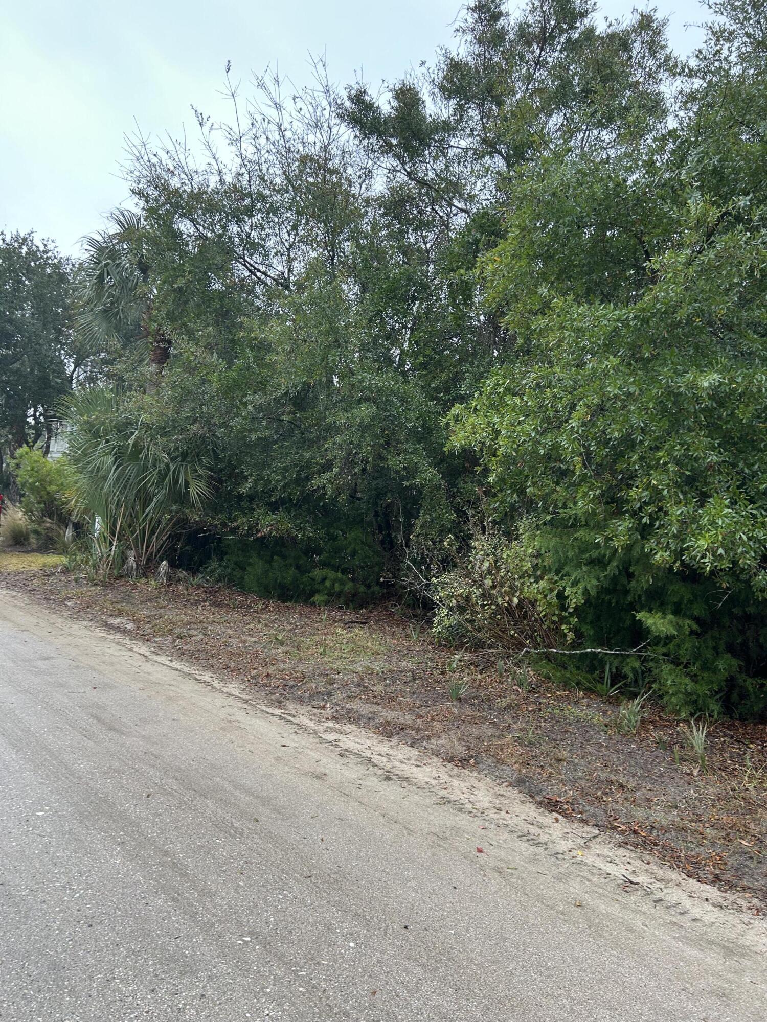 2306 Seabrook Street  Edisto Island SC 29438 photo