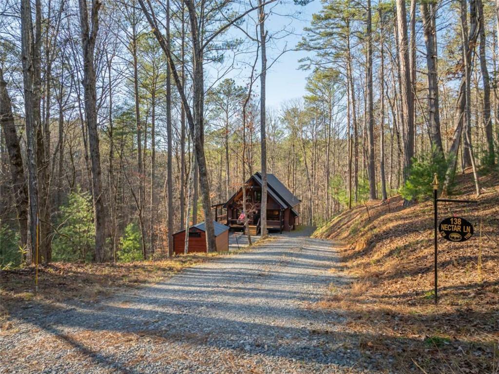 138 Nectar Lane  Ellijay GA 30540 photo