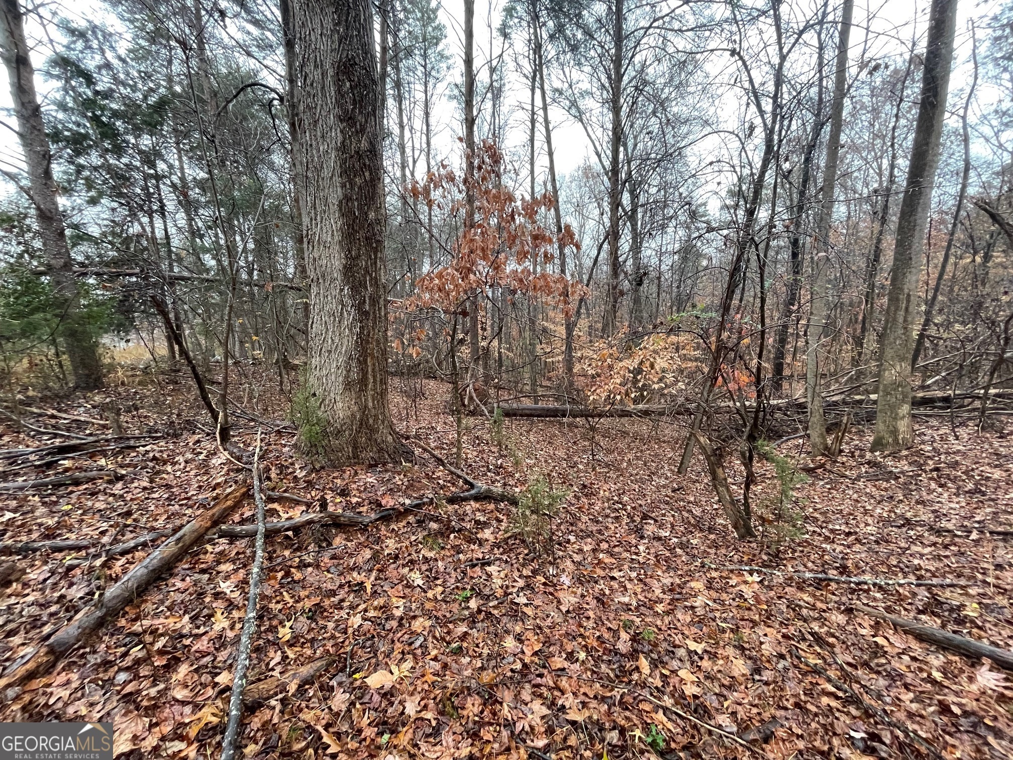 Property Photo:  0 Nicklaus Drive Lot 851  SC 29693 