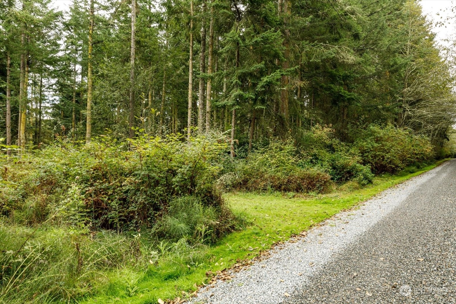 Property Photo: 1091 Susan Street WA 98239