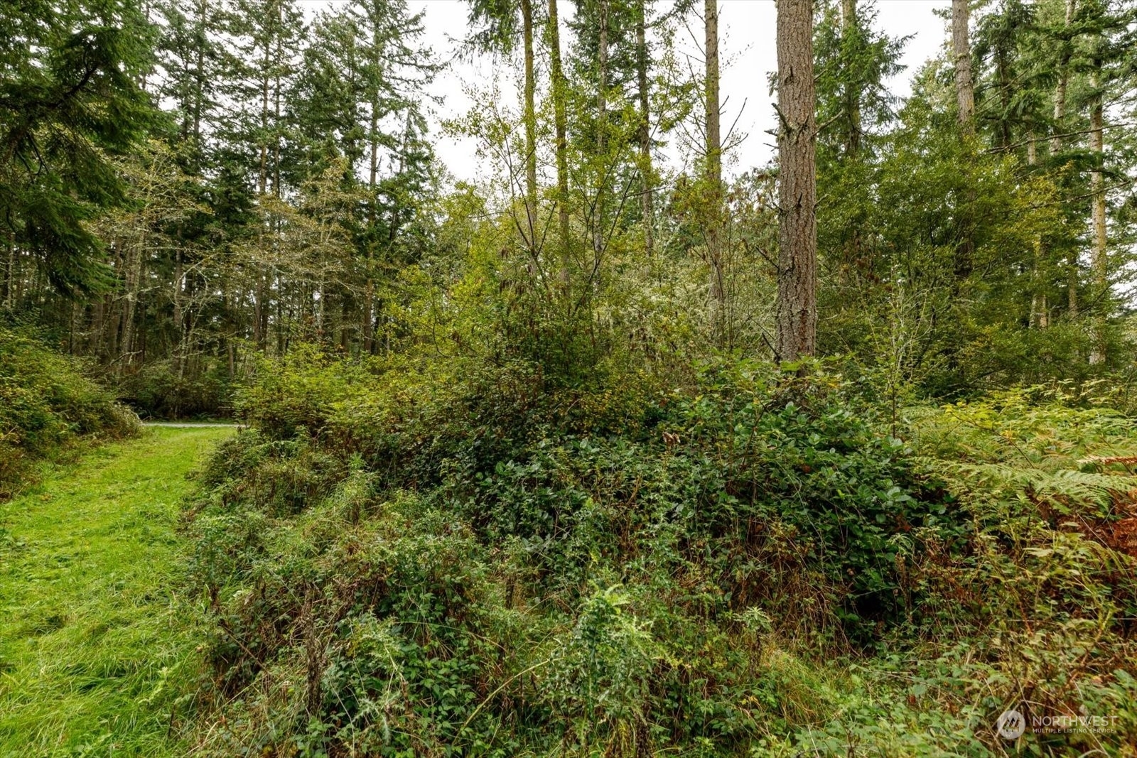 Property Photo:  1087  Susan Street  WA 98239 